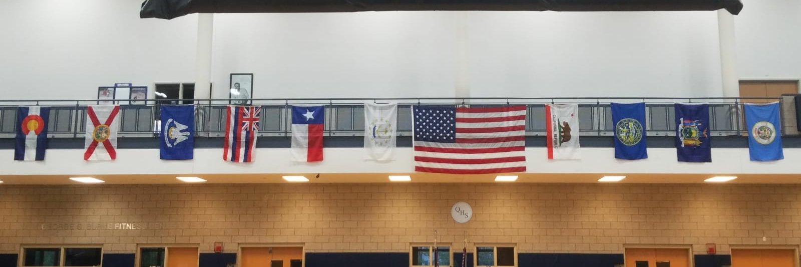 USDLDF Official banner