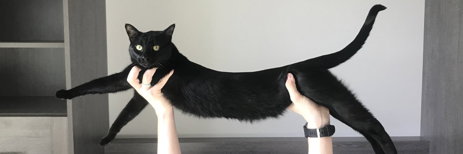 JackSassyPants's profile banner image