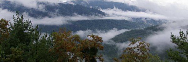 BarkleyWeather Profile Banner
