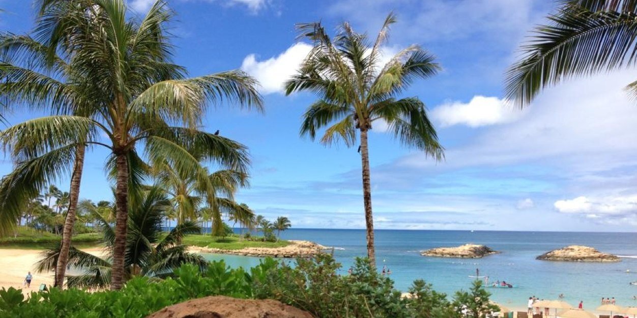Bodners's profile banner image