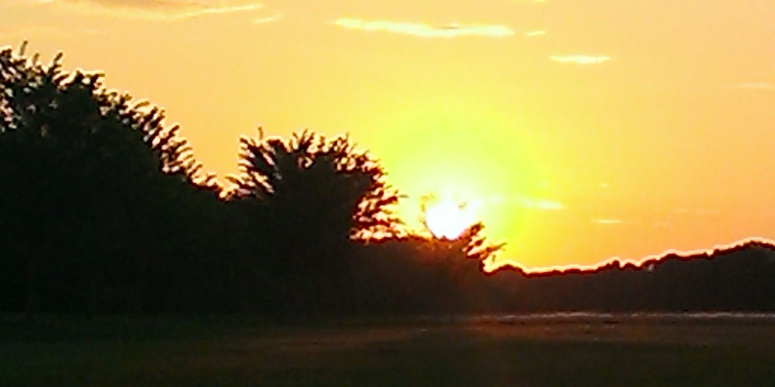 Susan_Nolan1's profile banner image