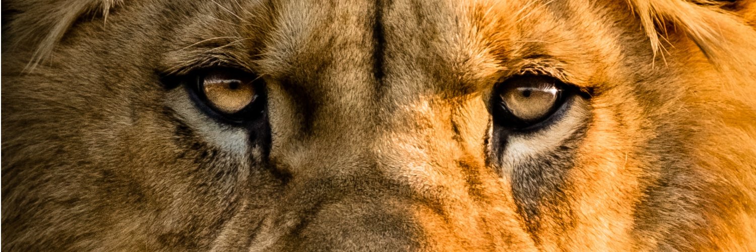 RockUnleashed's profile banner image