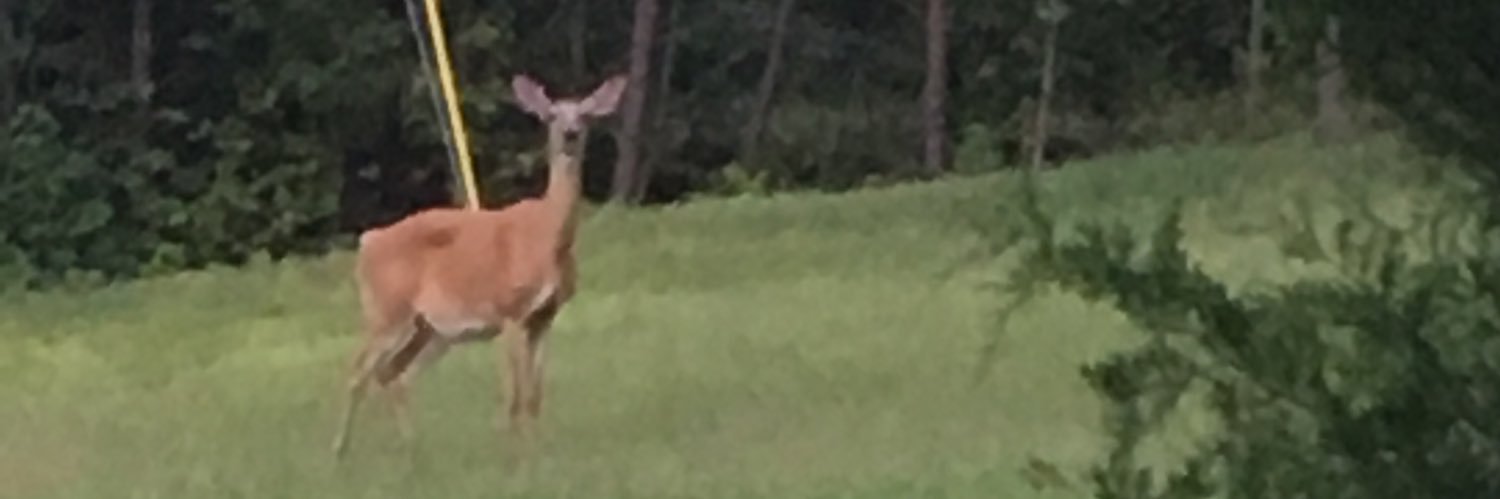 JTHarper5's profile banner image