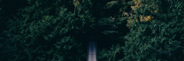 lempkest Profile Banner