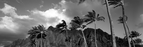 DaileyChi Profile Banner