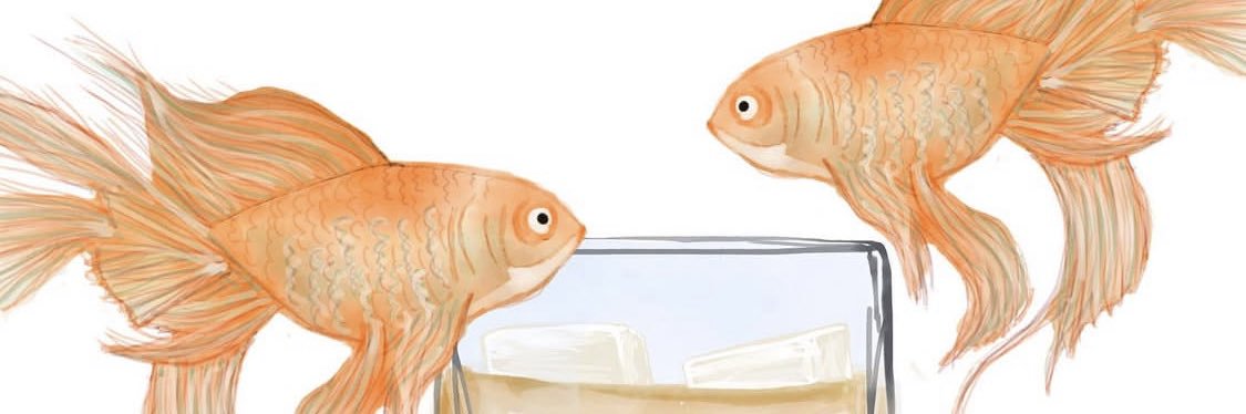 Mer banner
