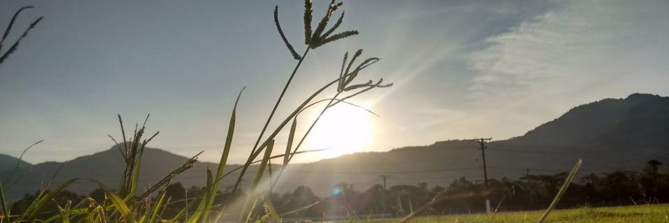 andreelb's profile banner image