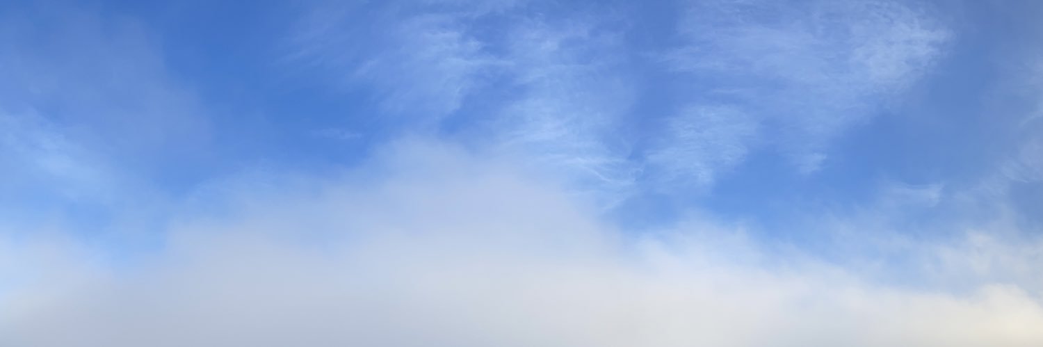 Ida van Schalkwyk, Ph.D. banner