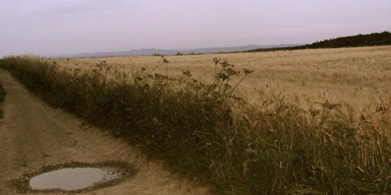 baumrc's profile banner image