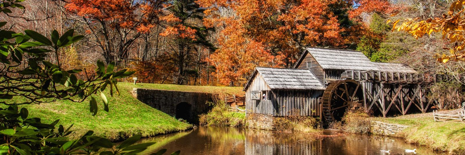 Phillip Jones banner