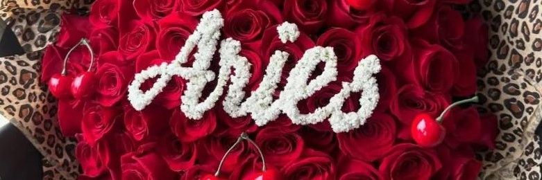 eucarolbritoo's profile banner image