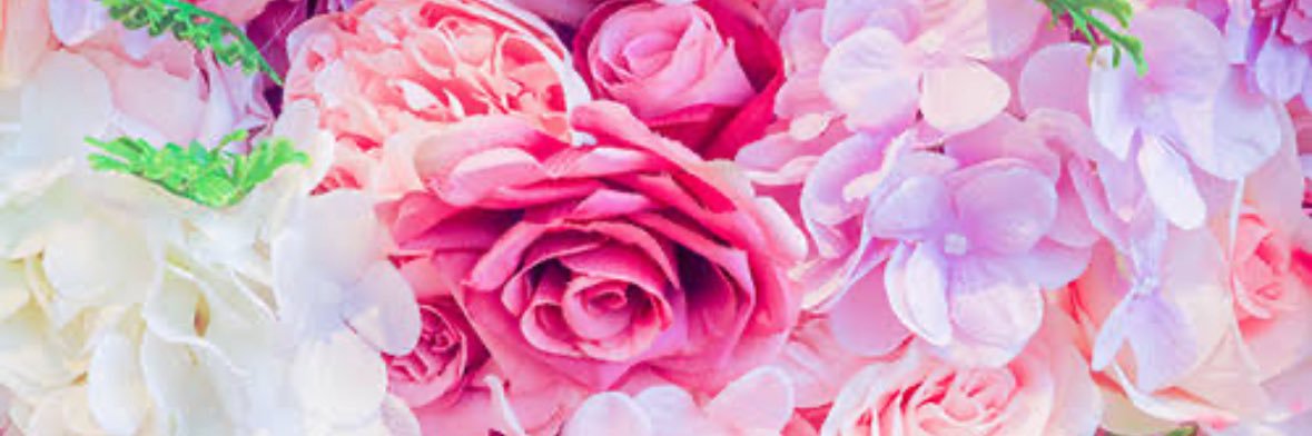 むーこ banner