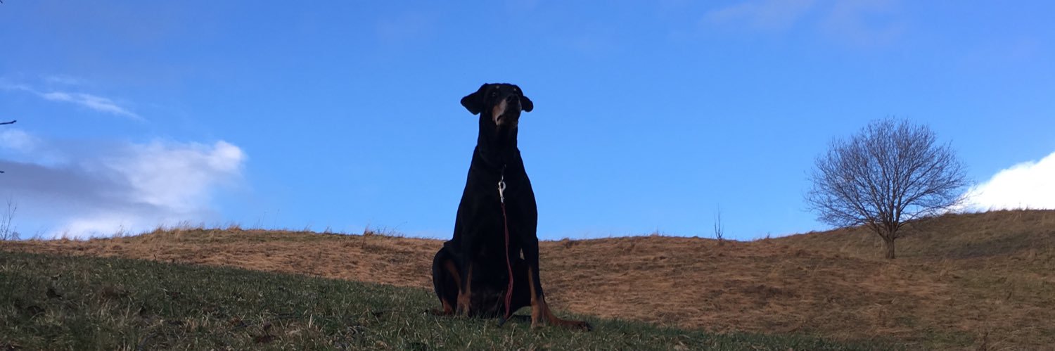 RaBiateBate's profile banner image