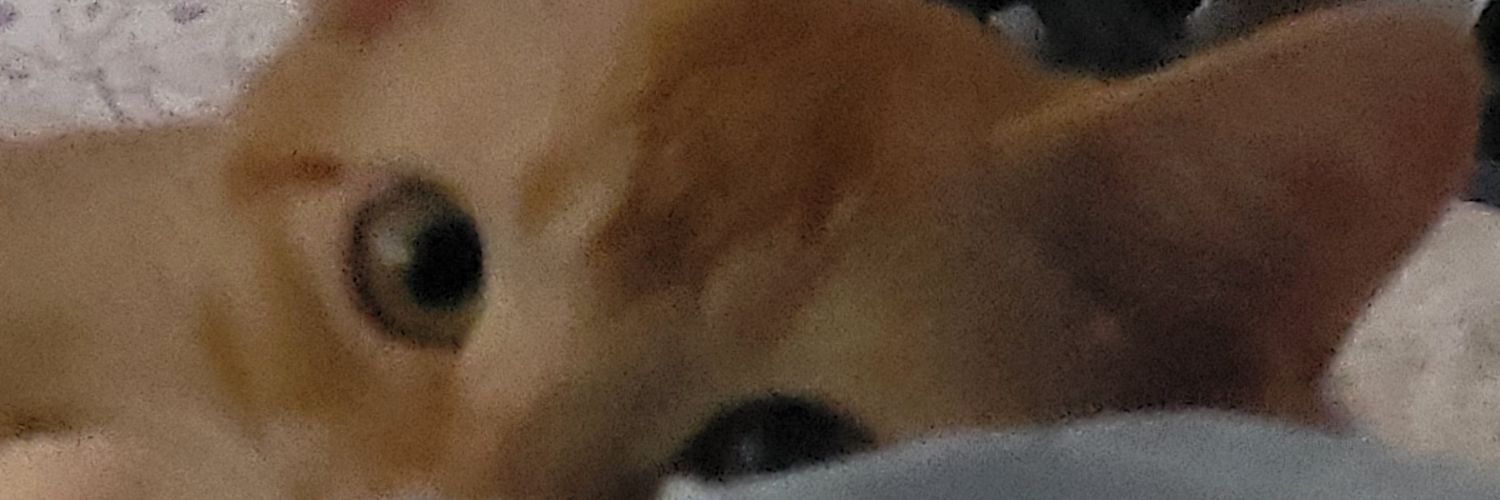 Ⓜⓐⓝⓔⓛ banner