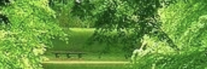 pj_johan's profile banner image