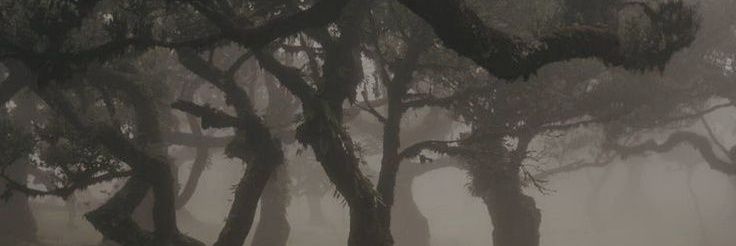 ulfurferlar's profile banner image