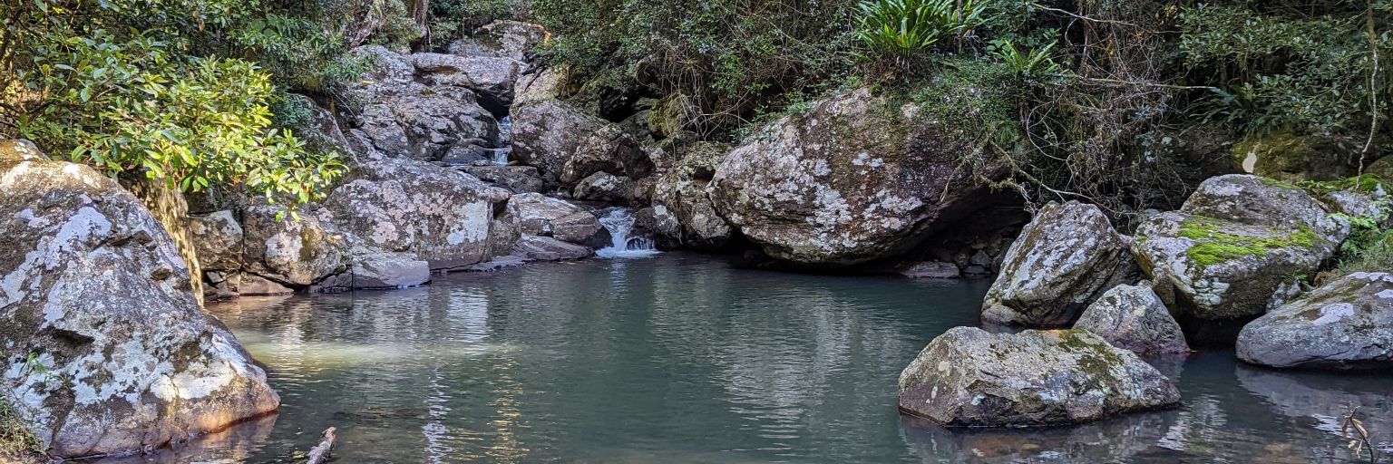 ANTIFA animal dude #BLM banner