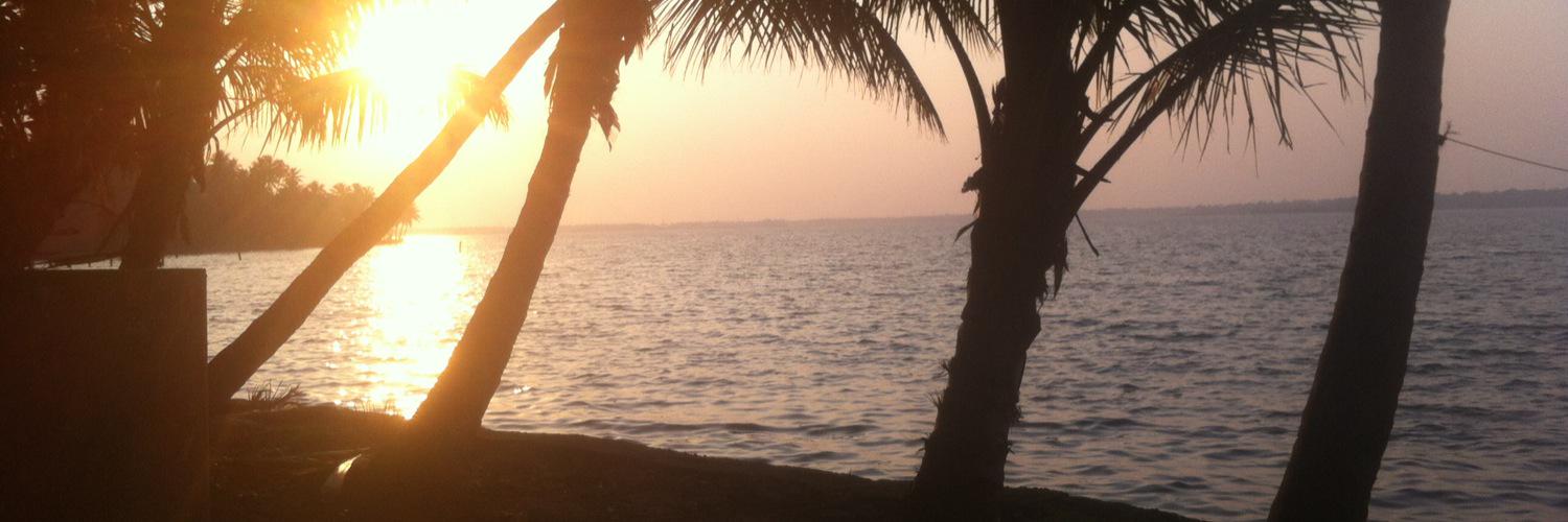SidPill's profile banner image