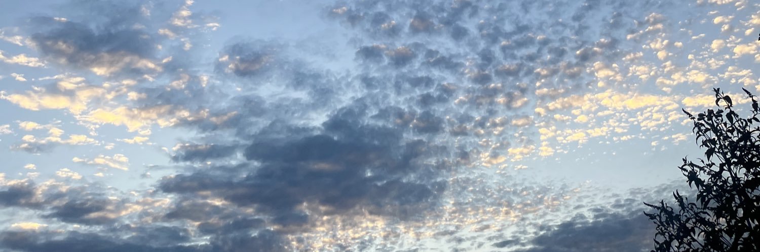 stephdarlo's profile banner image