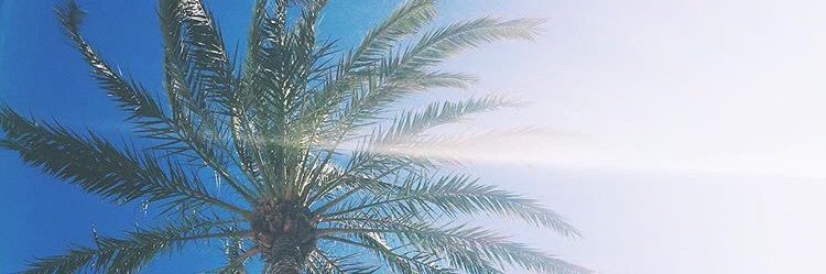 ellaprobert's profile banner image