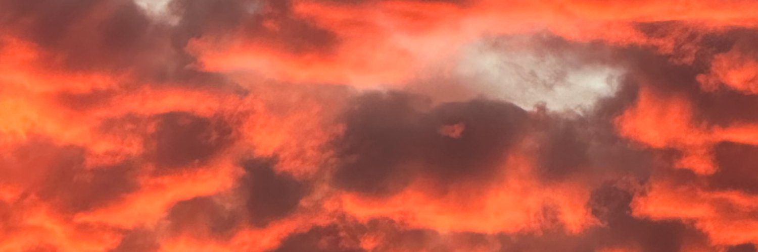 FreedomXLaw's profile banner image