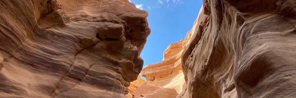 czarkowm Profile Banner