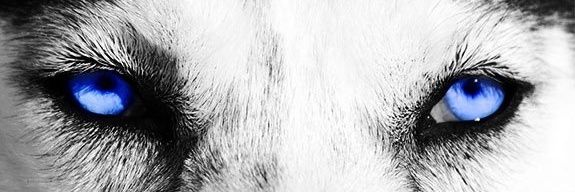 Vic_TheDon's profile banner image