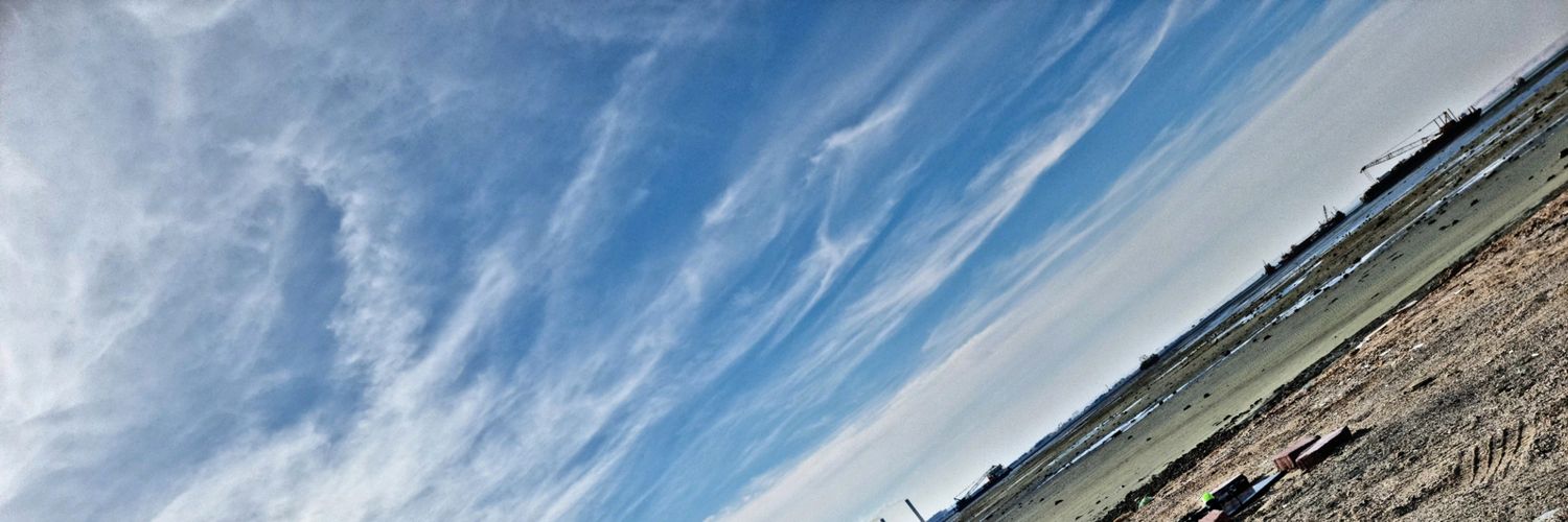 Bushaheen's profile banner image