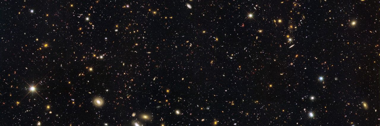 Monikazwildan's profile banner image