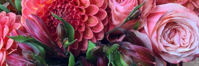JWWoman's profile banner image