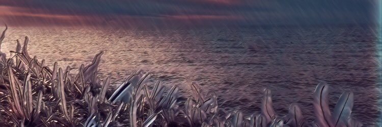 CodyK240's profile banner image