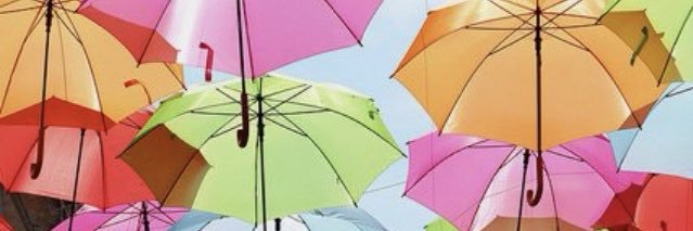 Tru McCormick banner