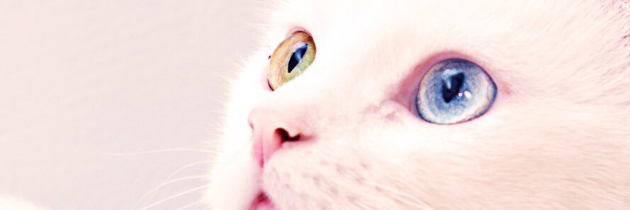 baeksk2's profile banner image