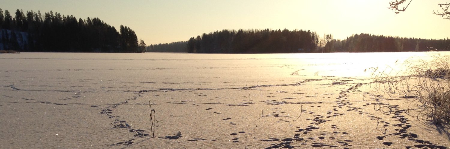 Hannu Koponen banner