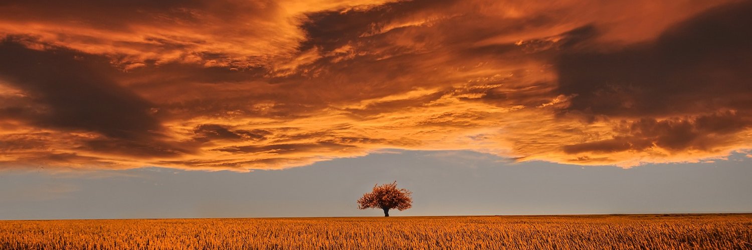 manuelmvelas's profile banner image