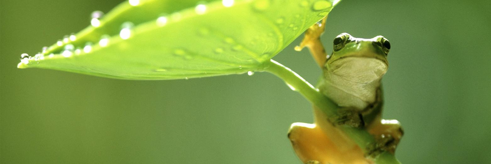 Sharples Science banner