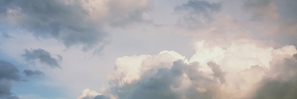 neverlandin23's profile banner image