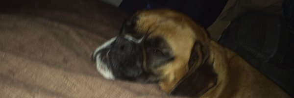 ColinLocke73 Profile Banner