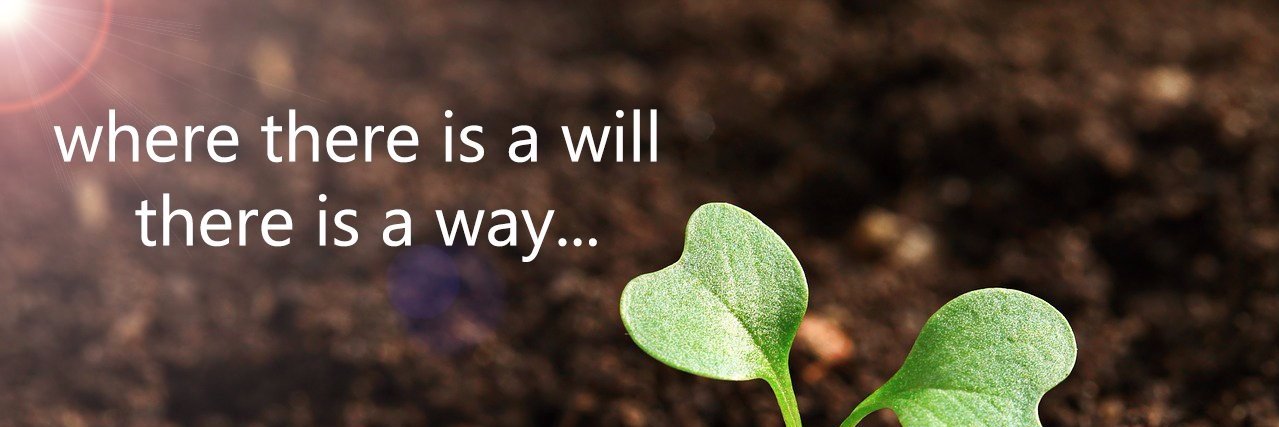 Federica Saba banner