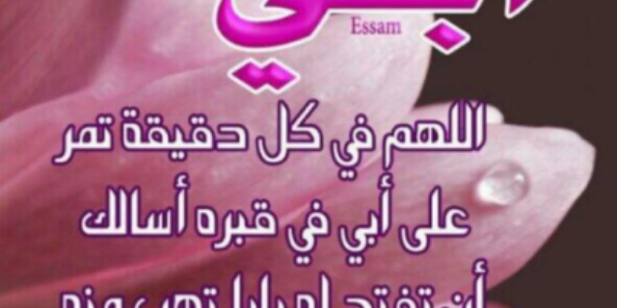 AbeerS_W's profile banner image