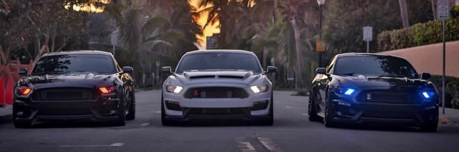 Mustangtopic banner