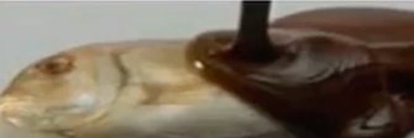 PatPost_ Profile Banner