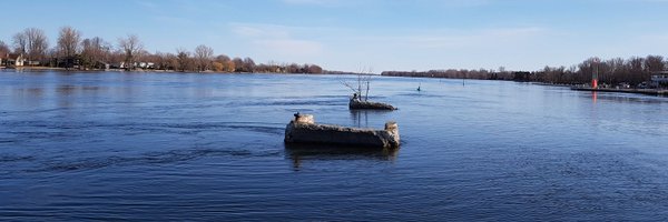 Stephisy Profile Banner