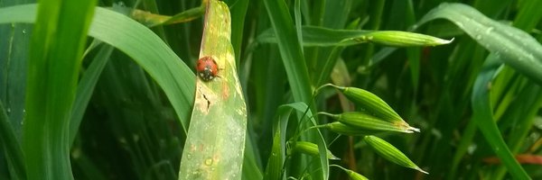AislingBReilly1 Profile Banner