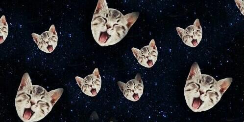 JBeve94's profile banner image