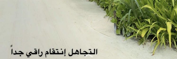 noooonnee666's profile banner image