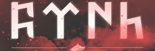 Limse 91 banner