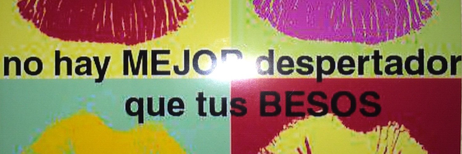 chabeli navarro banner