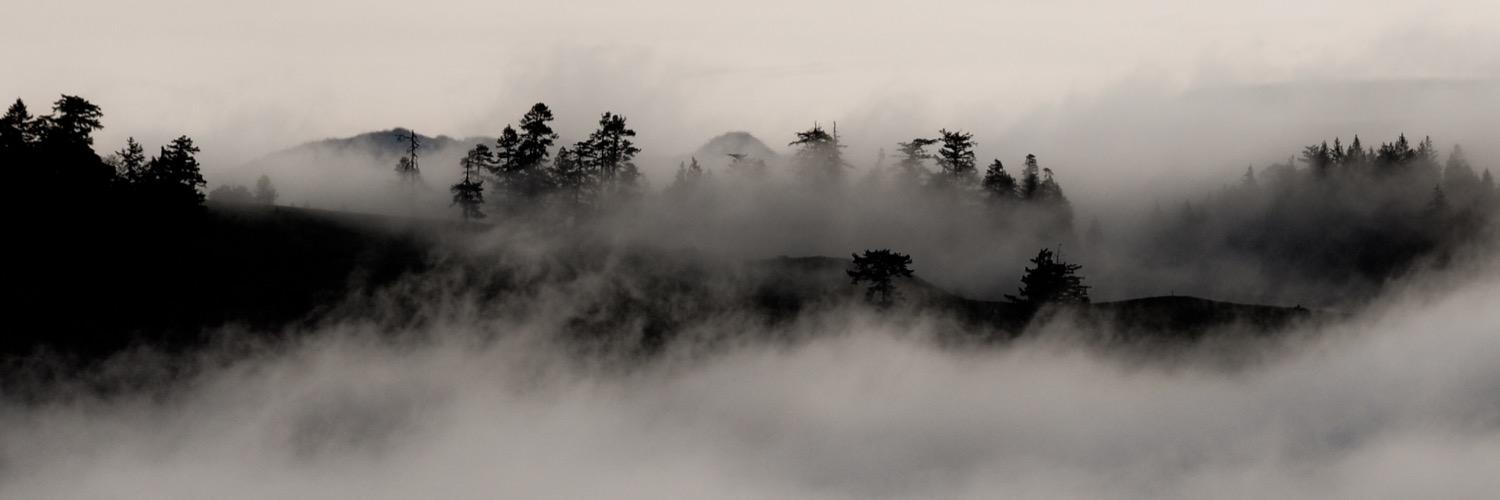 Tomovek's profile banner image