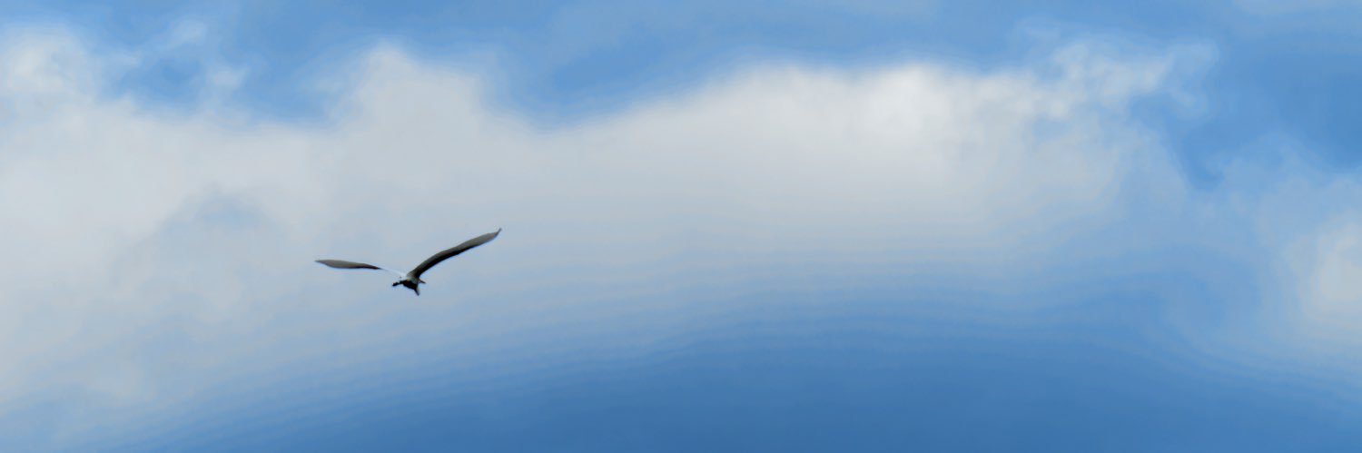 PhotTondotNet's profile banner image